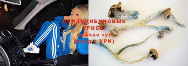 метадон Абаза